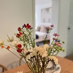 Cozy Wolke2 Mit Balkon Apartment *